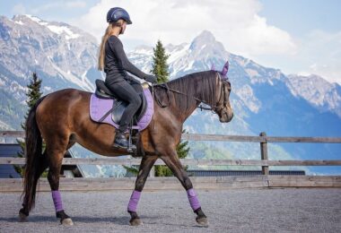 bombe équitation